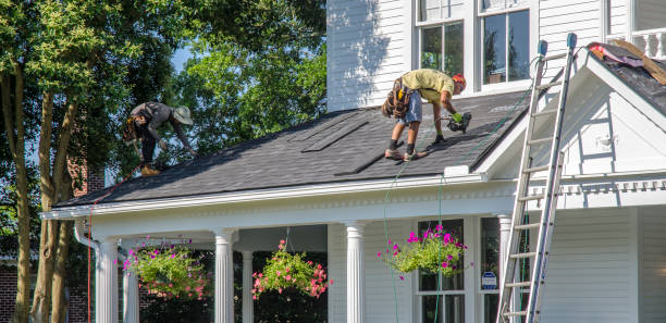 Roof Moss and Algae Removal in Russellton, PA